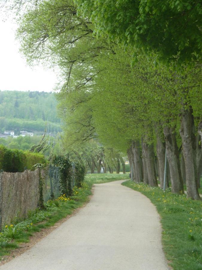 Ferienwohnung Zur Altmuehl Pappenheim Eksteriør billede